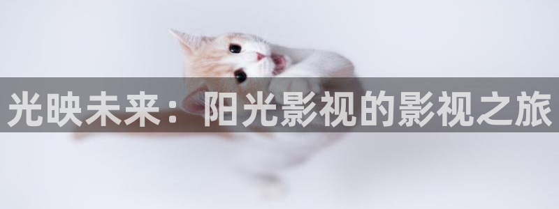 天天射综合影院：光映未来：阳光影视的影视之旅